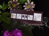  Creationary 3 - 